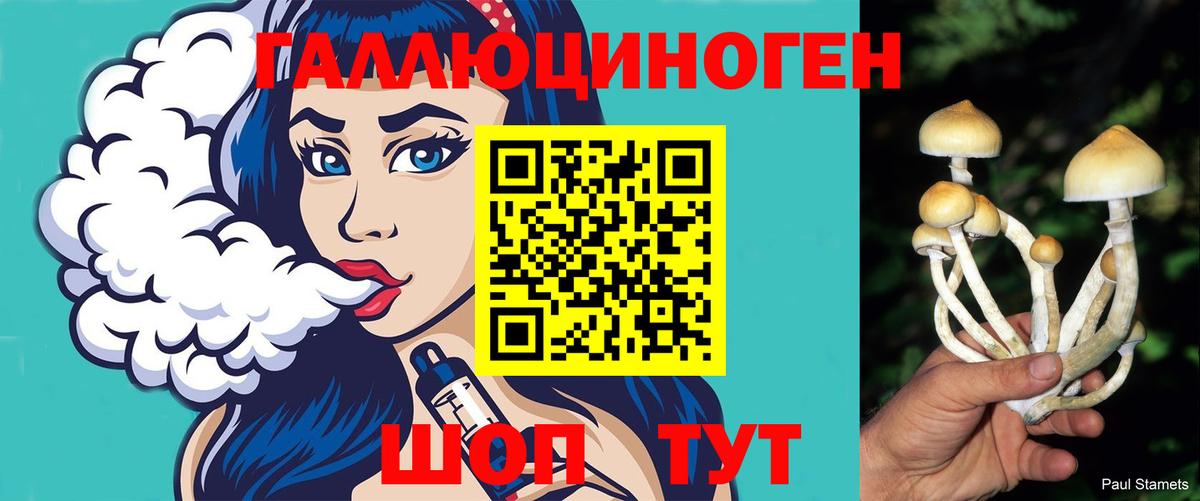 Псилоцибиновые грибы Psilocybine cubensis  Вход с VPN  Тверь 